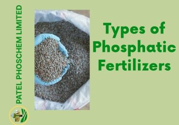Types of Phosphatic Fertilizers and Their Applications