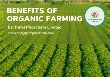 Organic farming Patelphoschem