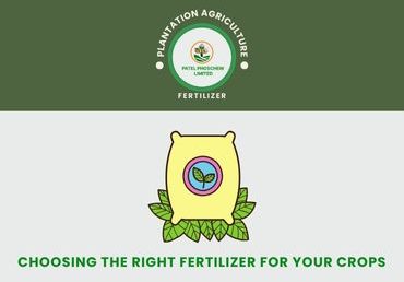 Choosing the Right Fertilizer for Your Crops